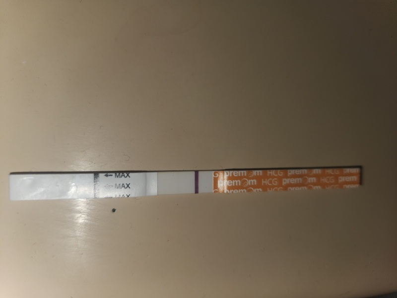 1 dpo - 2ww buddies
