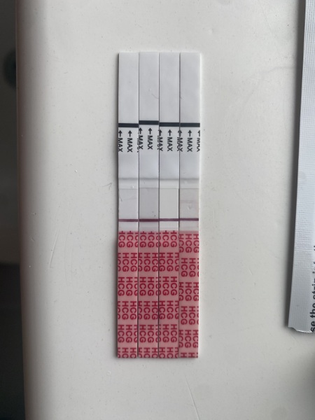 Faint pink line after results window