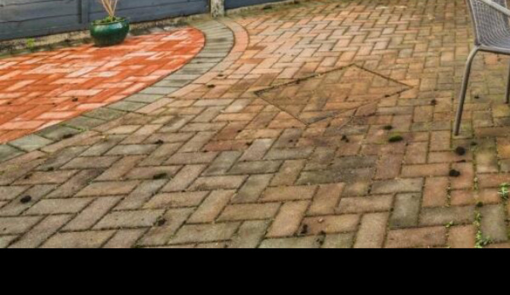 fully patio-d yard reversal?