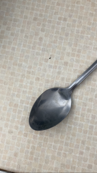 Black mites in UK kitchen