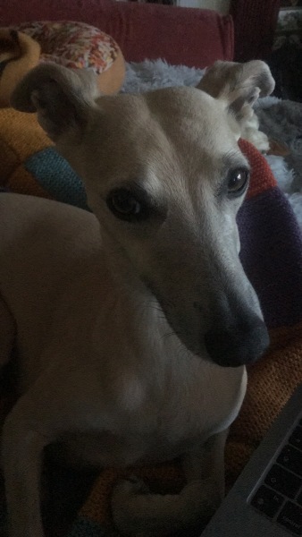 To think it was obvious they were for the kids??