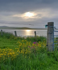 Any Witches here? Part 20