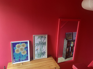 Help me decide on where and how to hang my pictures? (With photos)