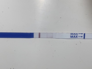 Positive then negative test