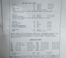 Anyone who knows about Thyroid - blood test results