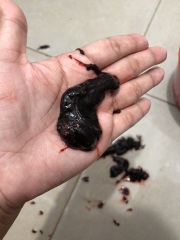 Is this my baby? I’m 4 weeks