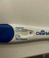 Clear blue test. Evap line or positive