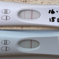 Tests getting lighter?