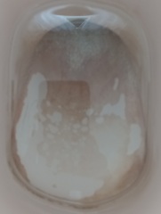 Help......I've made things worse cleaning my toilet.