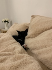 What do you have on the walls in the bedroom?