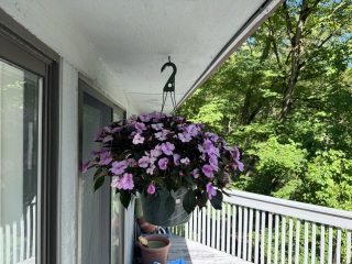 Come and tell me your dull and unexciting news 30: Calmly through the day