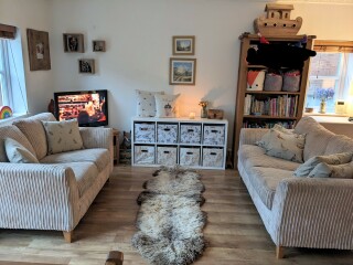 Please help me decide what sort of rug (including pics of living room)