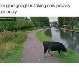 Funny memes