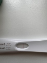 A line eye enthusiast #3