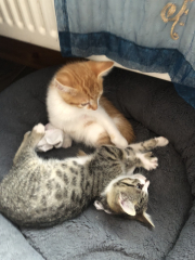 Familiar Friends in Frugality(Feb 24>)