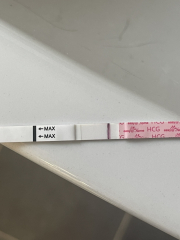 A line eye enthusiast #3