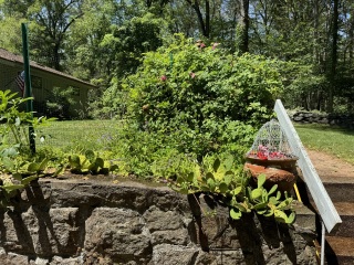 Come and tell me your dull and unexciting news 30: Calmly through the day