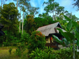 The Great Recovery part 2 - After Cancer treatment what next?