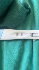test progression