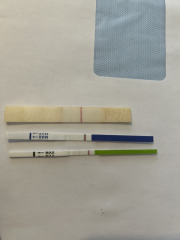 POAS come on you rainbows