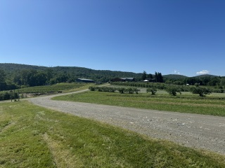 Come and tell me your dull and unexciting news 30: Calmly through the day