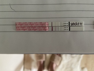 IVF/ICSI May or late April (Part 2)