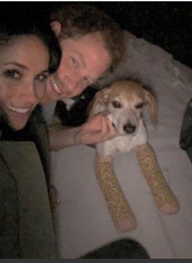 Porkies, Perfidies & Pomposity - Harry and Meghan thread 2