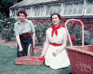 Unusual, unseen or interesting royal photos
