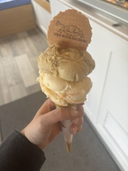 Taking a photo of everything I eat