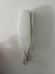 Brass entry phone help please?