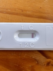 Shadows/ Faint Lines on multiple pregnancy tests