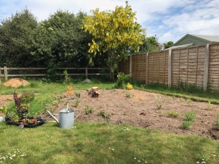 What would you do with this garden?
