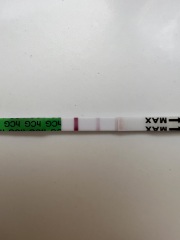 Tests getting lighter?