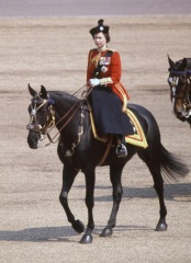 Unusual, unseen or interesting royal photos