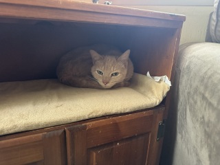 Come and tell me your dull and unexciting news 30: Calmly through the day