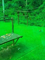 Year 13 2024 - General support thread part 2