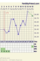 TTC June 2024 ✨♥️