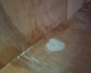 What is this on wooden wardrobe? Help please.