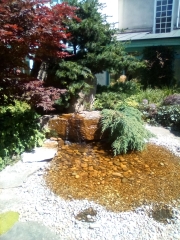 Stage 4 cancer... ? incurable? Thread #2 is here.  In memory of our inspiring, lovely mowly77