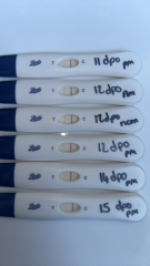 Opening a Clearblue Early Digital