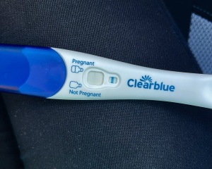 Clear blue test. Evap line or positive