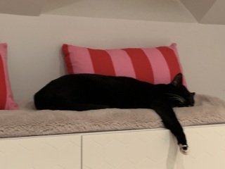 Thread 52 Sunak: The Final Countdown