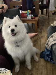 Shall we have a pet thread? Something nice for over the weekend 😁