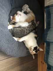 Familiar Friends in Frugality(Feb 24>)