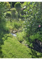 What have you done in the garden today? Part 5