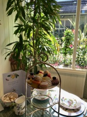 Come and tell me your dull and unexciting news 30: Calmly through the day