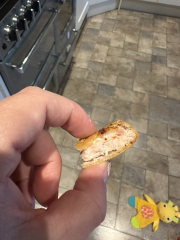 Turkey dippers pink Inside