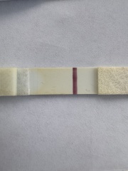 Shadows/ Faint Lines on multiple pregnancy tests