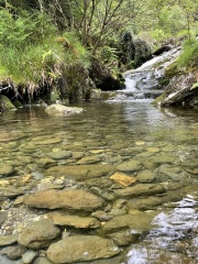 Come chat hiking with me!