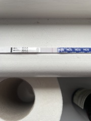 Are these pregnancy tests positive?